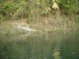 DSCF3222.JPG