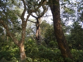 DSCF3230.JPG